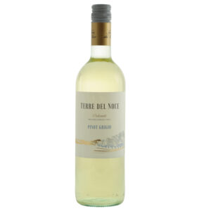 Terre del Noce Pinot Grigio