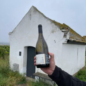 Paulinenhof pinot Blanc All about Wine
